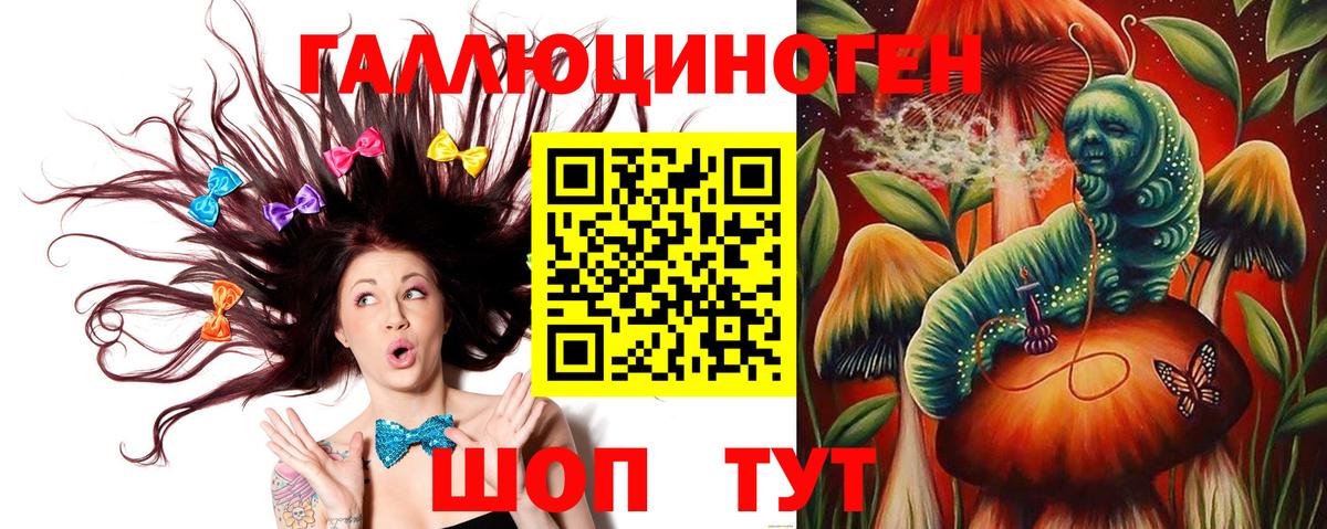 Галлюциногенные грибы прущие грибы  Вход с VPN  Кунгур  Псилоцибиновые грибы Psilocybe 