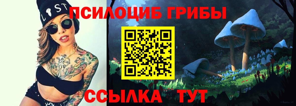 Псилоцибиновые грибы прущие грибы Кунгур