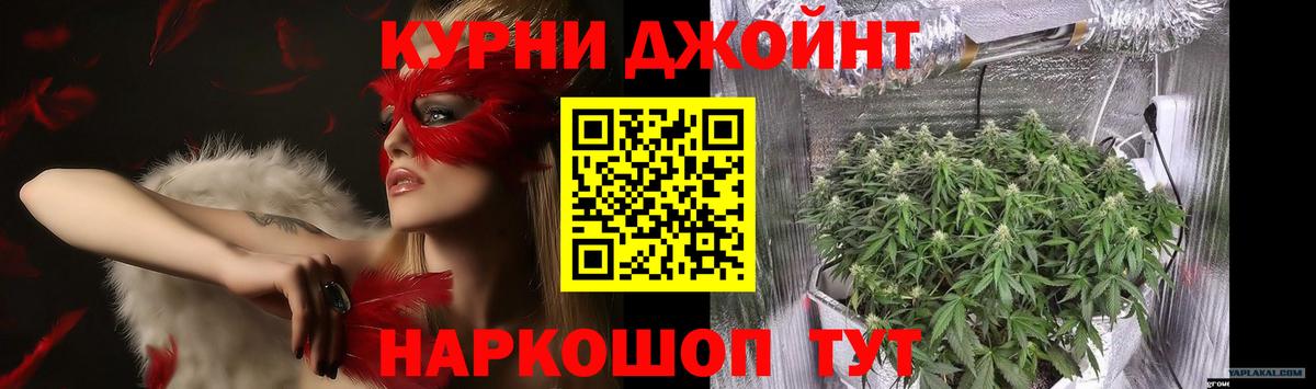 Каннабис конопля Кунгур